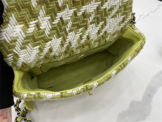 Ch*el 19 handbag wool tweed gold double c metal green/white as1160