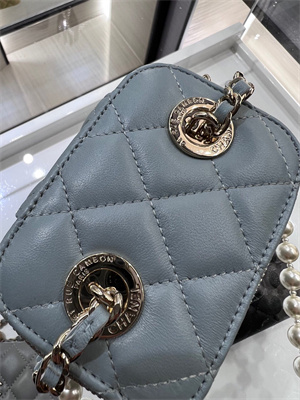 Cha.nel Vanity Case With Chain Lambskin Gold Tone Metal Blue AP2581