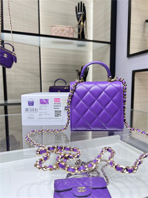 Cha.nel Vanity Case With Top Handle Lambskin Gold Tone Metal Purple AP2682