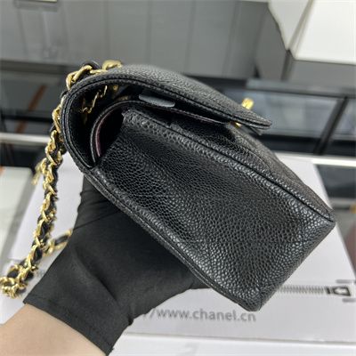 Cha.nel Small Classic Flap Bag Grained Calfskin Gold Tone Metal Black 01117 (Flap Edge Stitch)