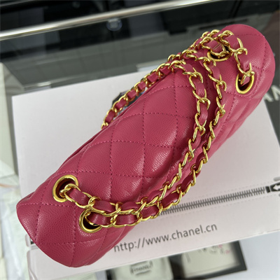 Cha.nel Small Classic Flap Bag Grained Calfskin Gold Tone Metal Fuchsia 01117