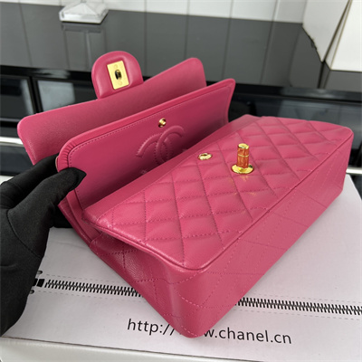 Cha.nel Small Classic Flap Bag Grained Calfskin Gold Tone Metal Fuchsia 01117