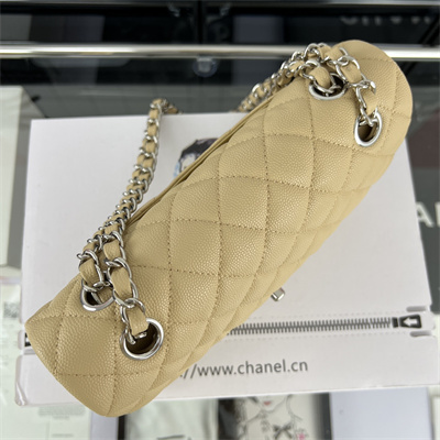 Cha.nel Small Classic Flap Bag Grained Calfskin Silver Tone Metal Beige 01117