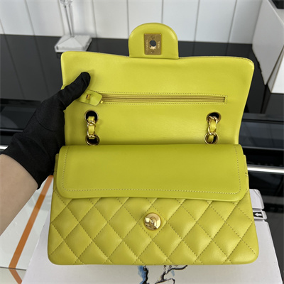 Cha.nel Small Classic Flap Bag Lambskin Gold Tone Metal Yellow 01117
