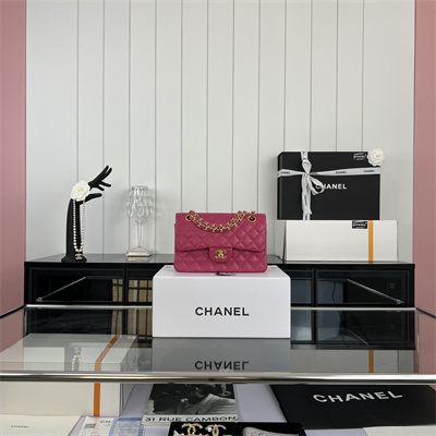 Cha.nel Small Classic Flap Bag Lambskin Gold Tone Metal Fuchsia 01117