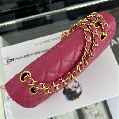 Cha.nel Small Classic Flap Bag Lambskin Gold Tone Metal Fuchsia 01117
