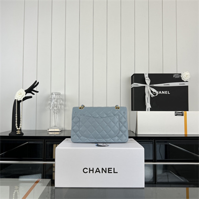 Cha.nel Small Classic Flap Bag Lambskin Gold Tone Metal Lt Blue 01117