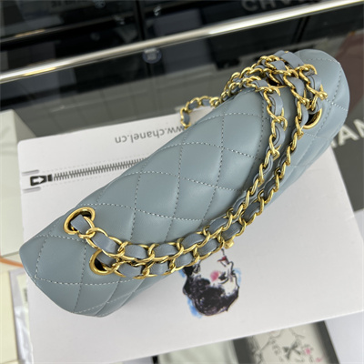 Cha.nel Small Classic Flap Bag Lambskin Gold Tone Metal Lt Blue 01117