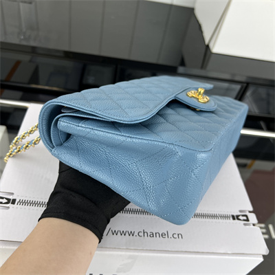 Cha.nel Medium Classic Flap Bag Grained Calfskin Gold Tone Metal Blue 01112 (Flap Edge Stitch)