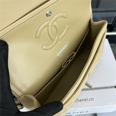 Cha.nel Medium Classic Flap Bag Grained Calfskin Silver Tone Metal Beige 01112