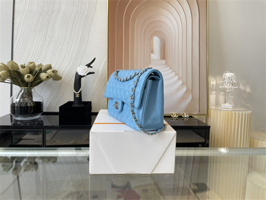 Cha.nel Medium Classic Flap Bag Lambskin Silver Tone Metal Blue 01112