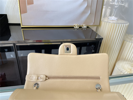 Cha.nel Medium Classic Flap Bag Lambskin Silver Tone Metal Beige 01112