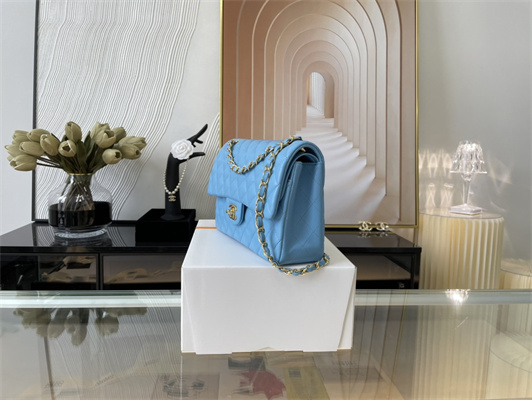 Cha.nel Medium Classic Flap Bag Lambskin Gold Tone Metal Blue 01112