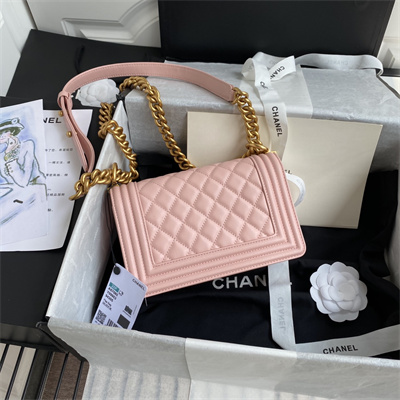 Cha.nel Small Leboy Bag Smooth Calfskin Aged Gold Metal Pink A67085