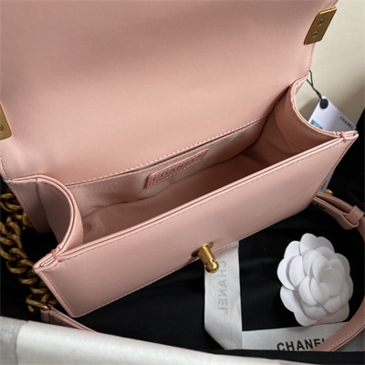 Cha.nel Small Leboy Bag Smooth Calfskin Aged Gold Metal Pink A67085