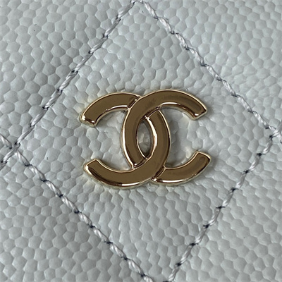 Cha.nel Vanity Case Grained Calfskin Gold Tone Metal Pale Blue AP1340