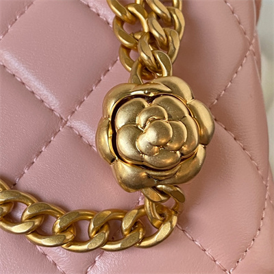 Cha.nel Vanity Case Lambskin Gold Tone Metal Pink AP3301