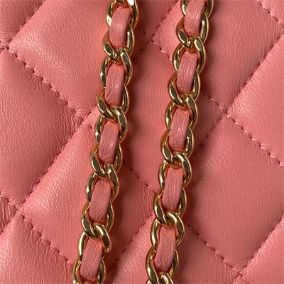 Cha.nel Vanity Case With Top Handle Lambskin Gold Tone Metal Pink AP3515