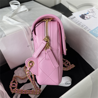 Cha.nel Backpack Lambskin Gold Tone Metal Pink AS3884
