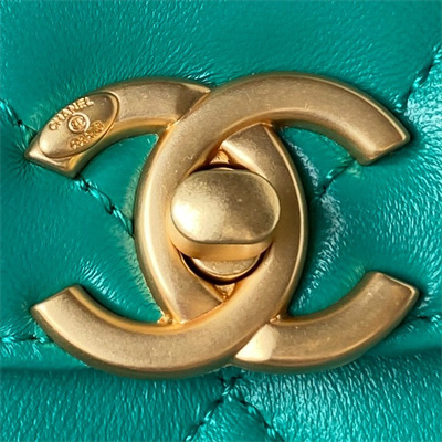 Cha.nel Backpack Lambskin Gold Tone Metal Green AS3884