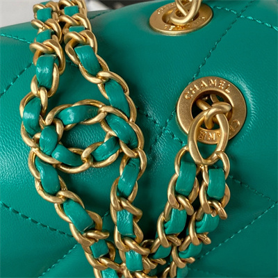 Cha.nel Backpack Lambskin Gold Tone Metal Green AS3884