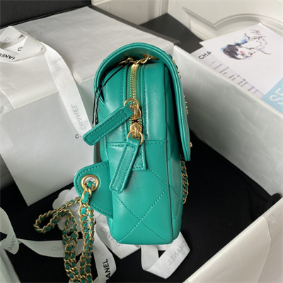 Cha.nel Backpack Lambskin Gold Tone Metal Green AS3884
