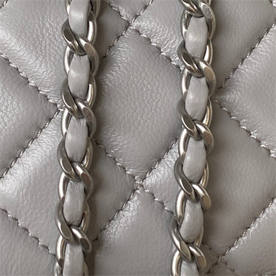 Cha.nel Mini Flap Bag Lambskin With Ball Silver Tone Metal Lt Grey AS1787