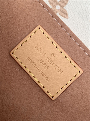 L.V Pochette Métis East West Monogram Canvas M46914