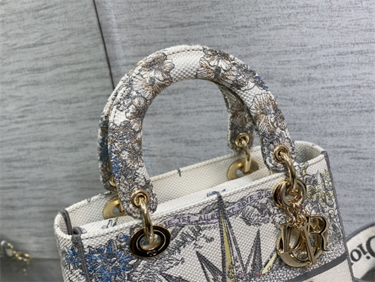 CD Medium Lady Di.or D-Lite Bag R??ve d’Infini Embroidery White and Multicolor