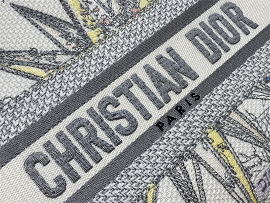 CD Medium Lady Di.or D-Lite Bag R??ve d’Infini Embroidery White and Multicolor