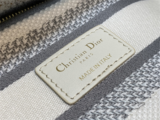 CD Medium Lady Di.or D-Lite Bag R??ve d’Infini Embroidery White and Multicolor