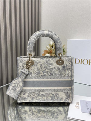 CD Medium Lady Di.or D-Lite Bag Toile de Jouy Embroidery White and Grey