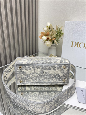 CD Medium Lady Di.or D-Lite Bag Toile de Jouy Embroidery White and Grey