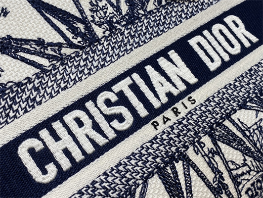 CD Medium Lady Di.or D-Lite Bag R??ve d’Infini Embroidery Blue and White