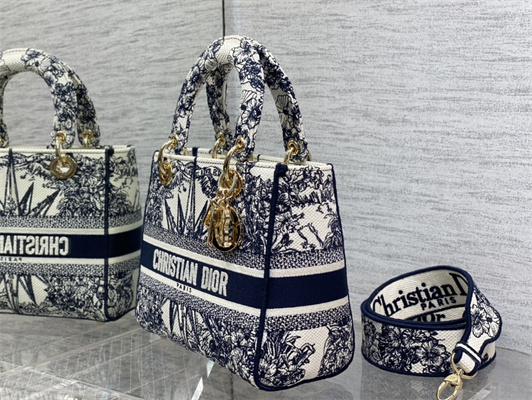 CD Medium Lady Di.or D-Lite Bag R??ve d’Infini Embroidery Blue and White