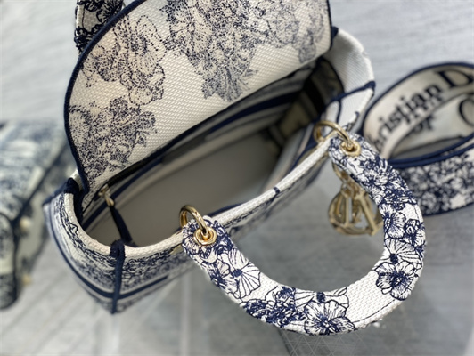 CD Medium Lady Di.or D-Lite Bag R??ve d’Infini Embroidery Blue and White
