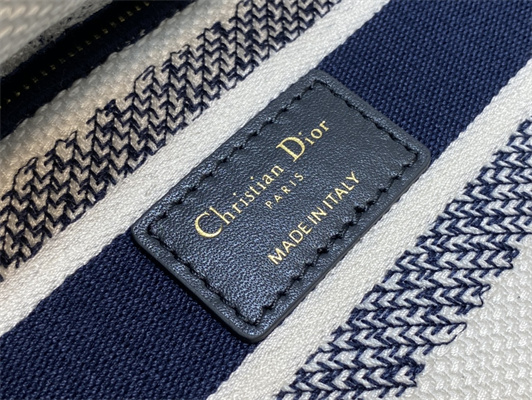 CD Medium Lady Di.or D-Lite Bag R??ve d’Infini Embroidery Blue and White