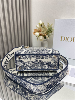 CD Medium Lady Di.or D-Lite Bag Toile de Jouy Embroidery White and Blue