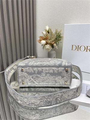 CD Medium Lady Di.or D-Lite Bag Toile de Jouy Embroidery Grey and White