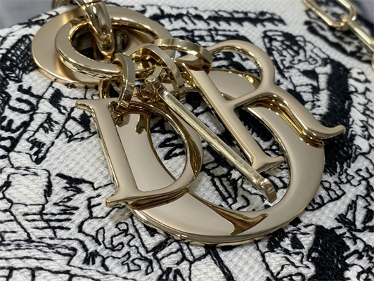 CD Medium Lady D-Joy Bag Plan de Paris Embroidery White and Black