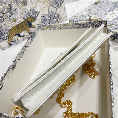 cd caro belt pouch with chain S*pple cannage calfskin gold tone metal white