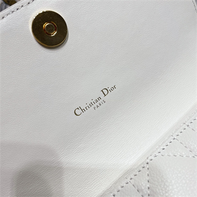 cd caro belt pouch with chain S*pple cannage calfskin gold tone metal white