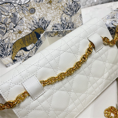 cd caro belt pouch with chain S*pple cannage calfskin gold tone metal white