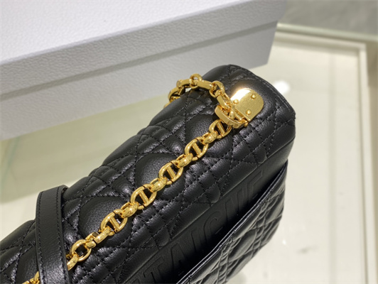 cd large di.or caro bag S*pple cannage calfskin gold tone metal black