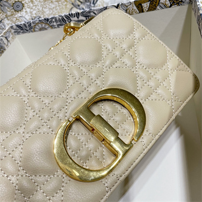 cd large di.or caro bag S*pple cannage calfskin gold tone metal sand