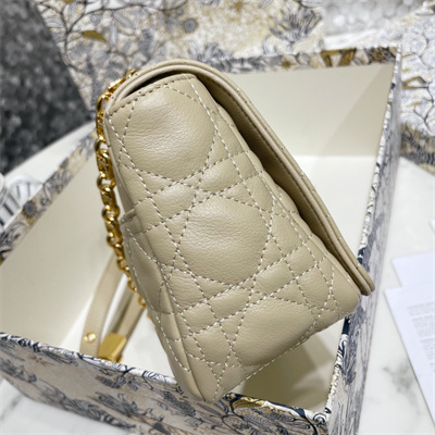 cd large di.or caro bag S*pple cannage calfskin gold tone metal sand