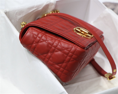cd medium di.or caro bag S*pple cannage calfskin gold tone metal red