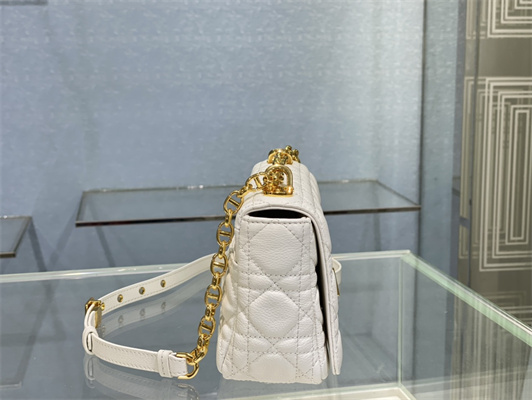 cd small di.or caro bag S*pple cannage calfskin gold tone metal white