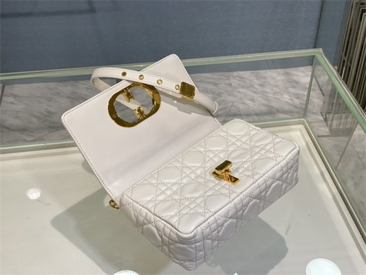 cd small di.or caro bag S*pple cannage calfskin gold tone metal white