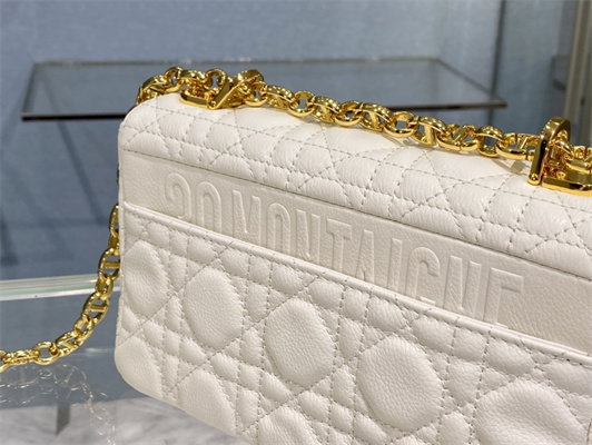 cd small di.or caro bag S*pple cannage calfskin gold tone metal white